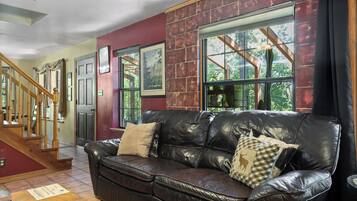 TV connectée, cheminée, lecteur de DVD, livres