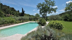 Una piscina rectangular envoltada de vegetació exuberant i arbres.