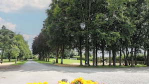 A paved pathway lined with trees and a flower bed with yellow and purple flowers. - Mallard (Leominster)