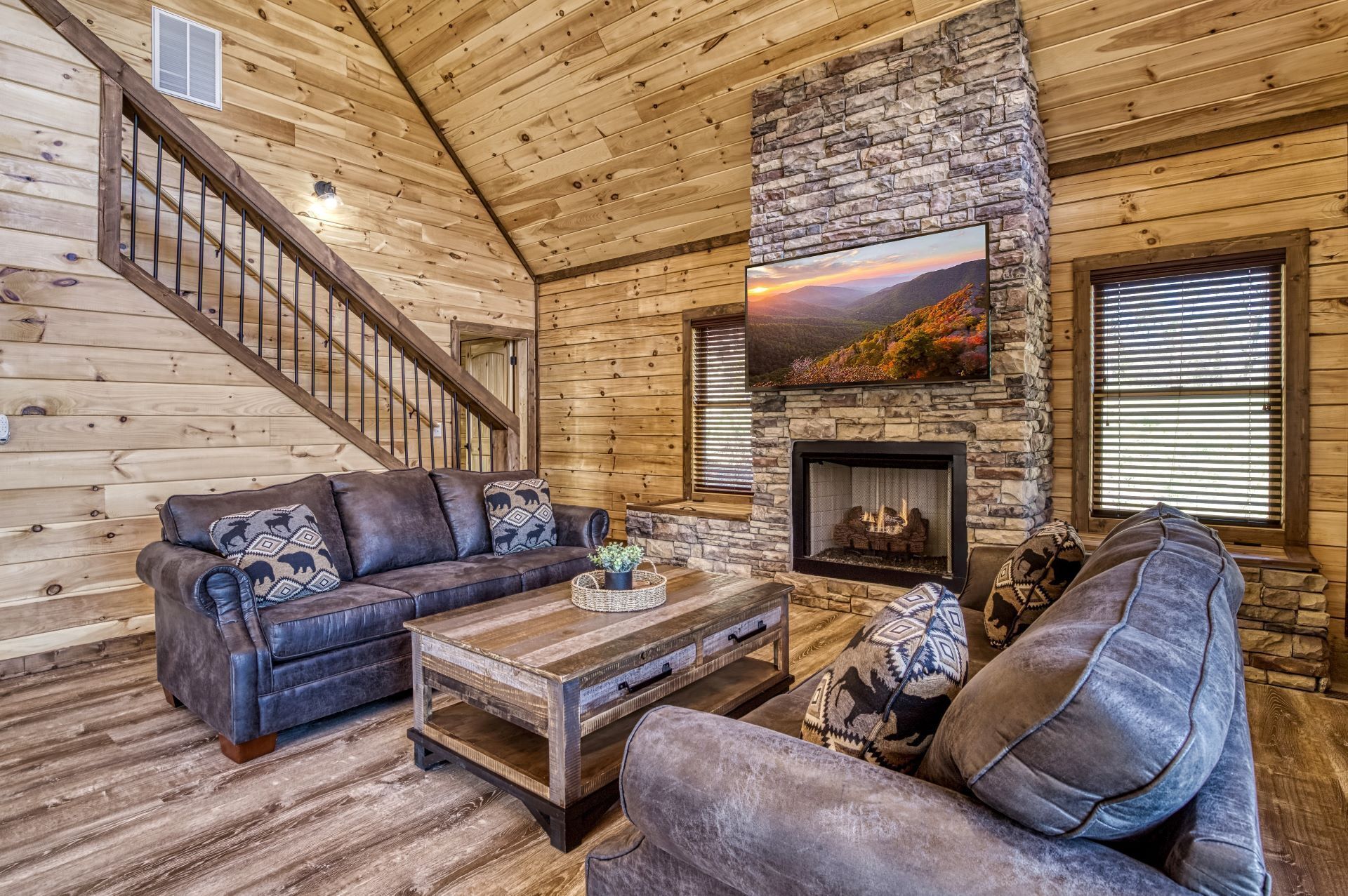 Smart TV, fireplace, video games, DVD player