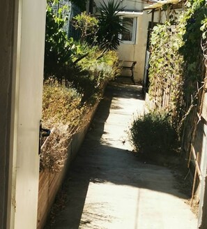 Property grounds - Guesthouse of Calanques (Marseille)