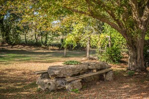 Property grounds - Farmhouse "Gufo" with Shared Pool, Private Terrace & Wi-Fi (Pitigliano)