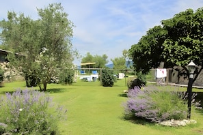 Property grounds - Farmhouse "Roccia" with Shared Pool, Private Terrace & Wi-Fi (Pitigliano)