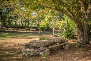 Property grounds - Farmhouse "Sasso Bianco" with Shared Pool, Private Terrace & Wi-Fi (Pitigliano)