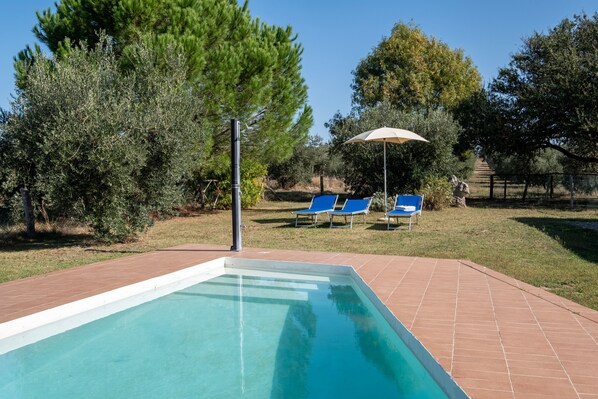 Une piscine avec des chaises bleues et un parasol, entourée d’arbres.