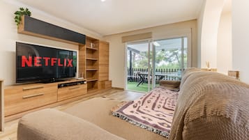 Télévision, cheminée, jeux vidéo