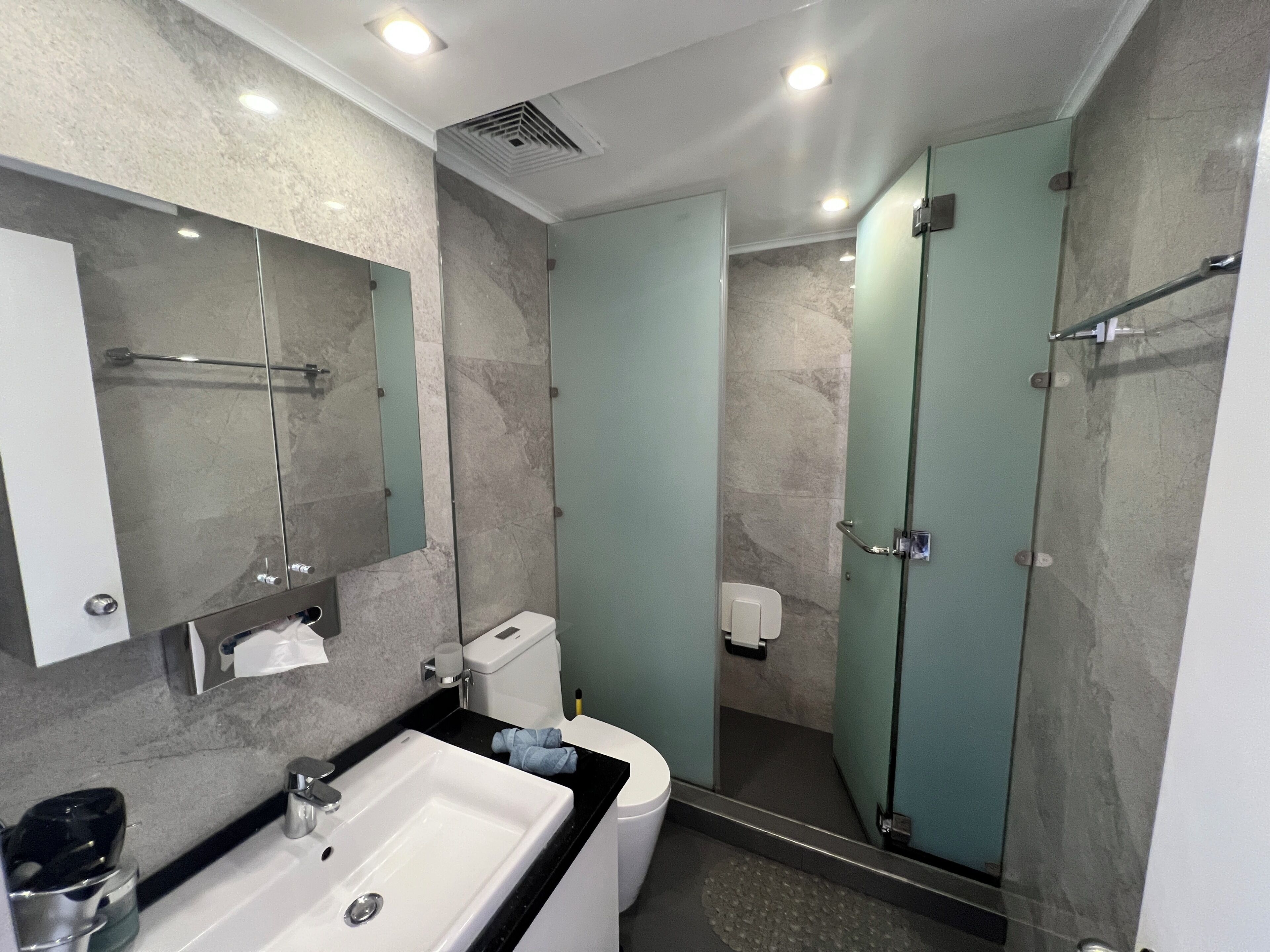 A modern bathroom with a sink, mirror, toilet, and glass shower enclosure.
