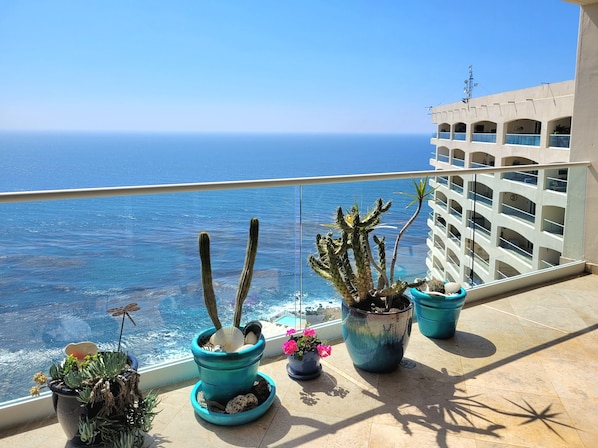 コンドミニアム | バルコニーからの眺望