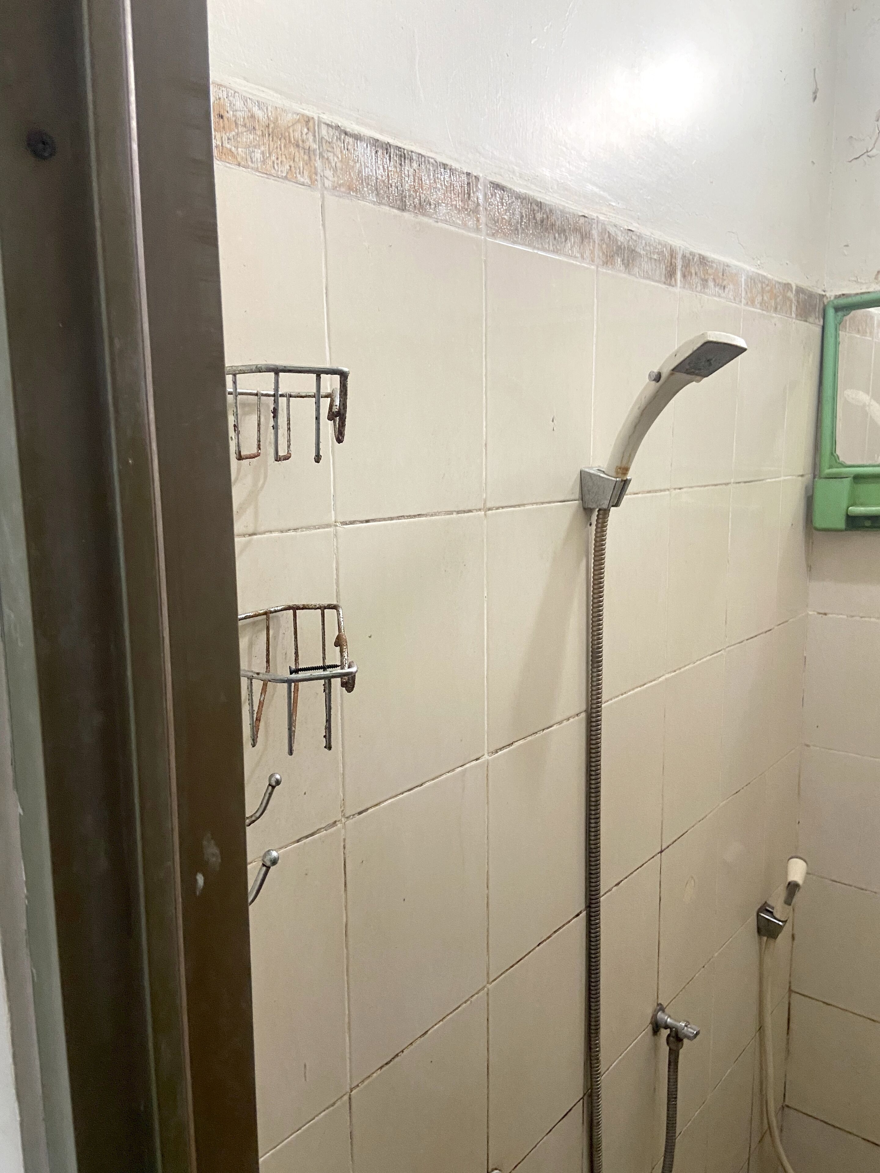 A shower area with a handheld showerhead, a wall-mounted towel rack, and a green-framed mirror.