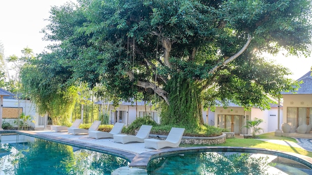 Piscina con sillones de descanso, rodeada de exuberante vegetación y un árbol grande.