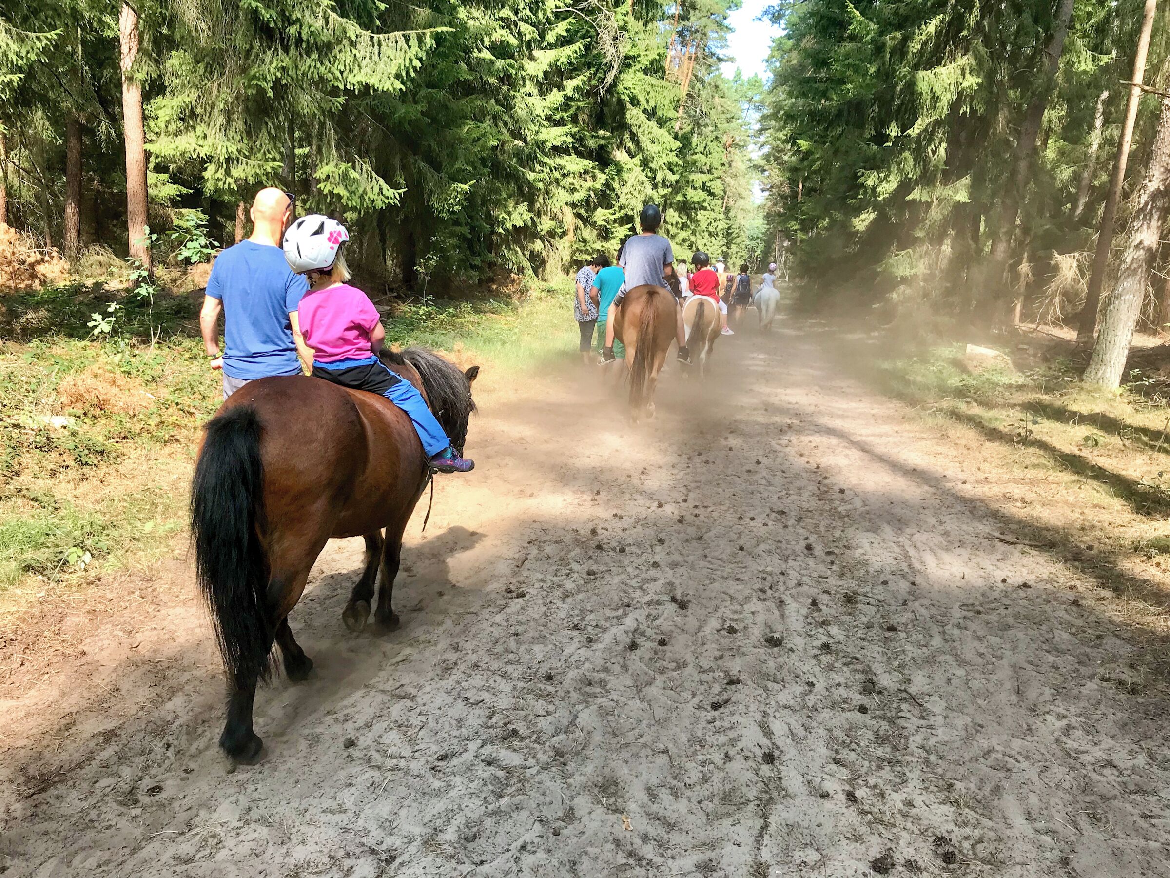 Un sendero de tierra con personas montando a caballo, rodeado de árboles.