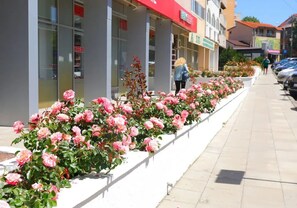 Exterior detail - Tomis 105 Apartment Cazare Centru Constanta (Constanța)