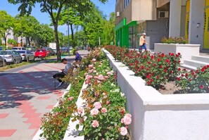 المنطقة المحيطة بالمنشأة