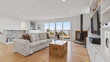 Fernseher, Arbeitsbereiche