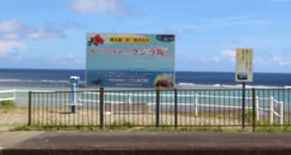 Nonsmoking Japanese and Western rooms 2 to 6 p / Oshima-gun Kagoshima