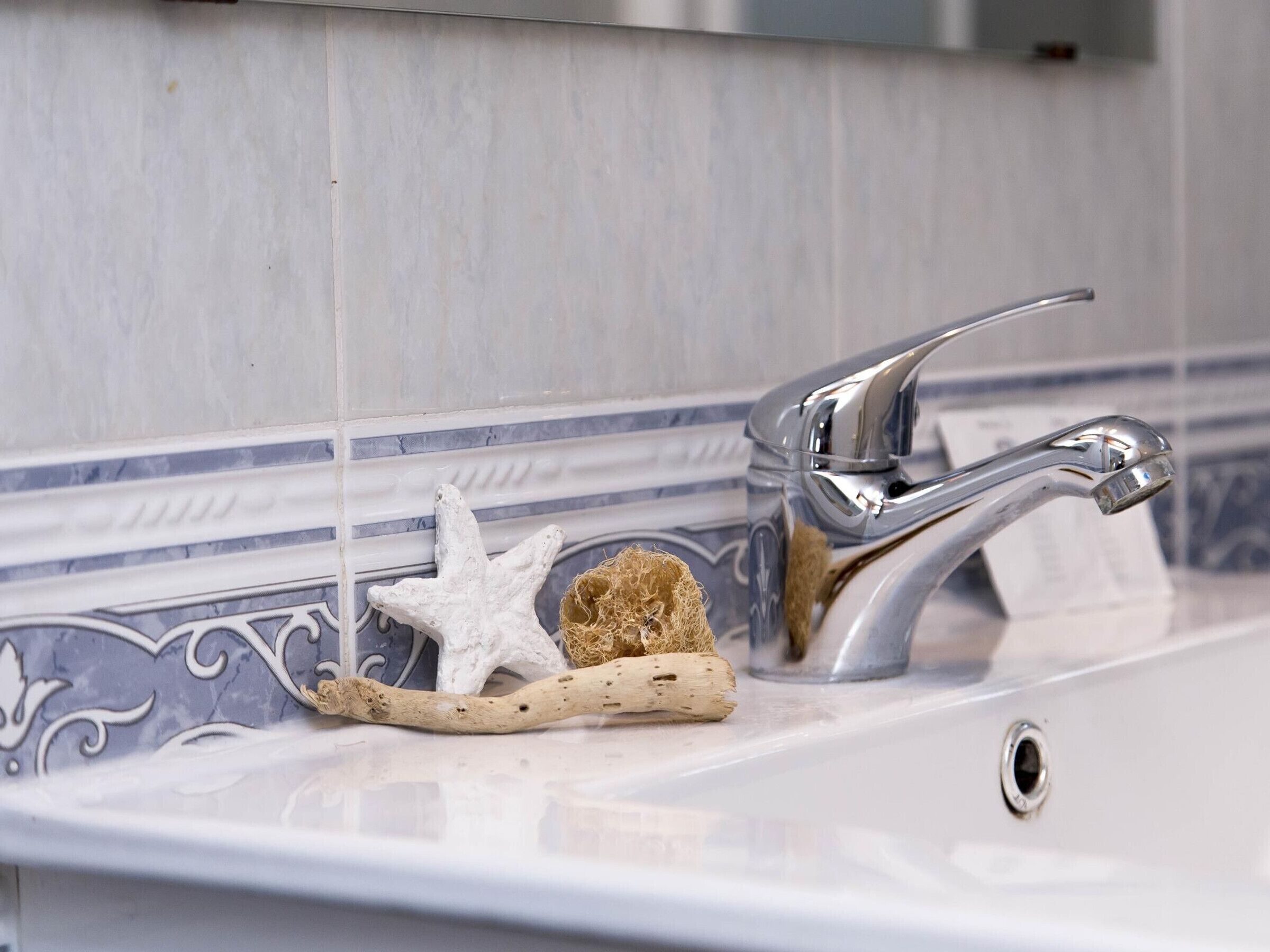 Un lavabo de salle de bain avec un robinet chromé, une étoile de mer décorative et une brosse à récurer.