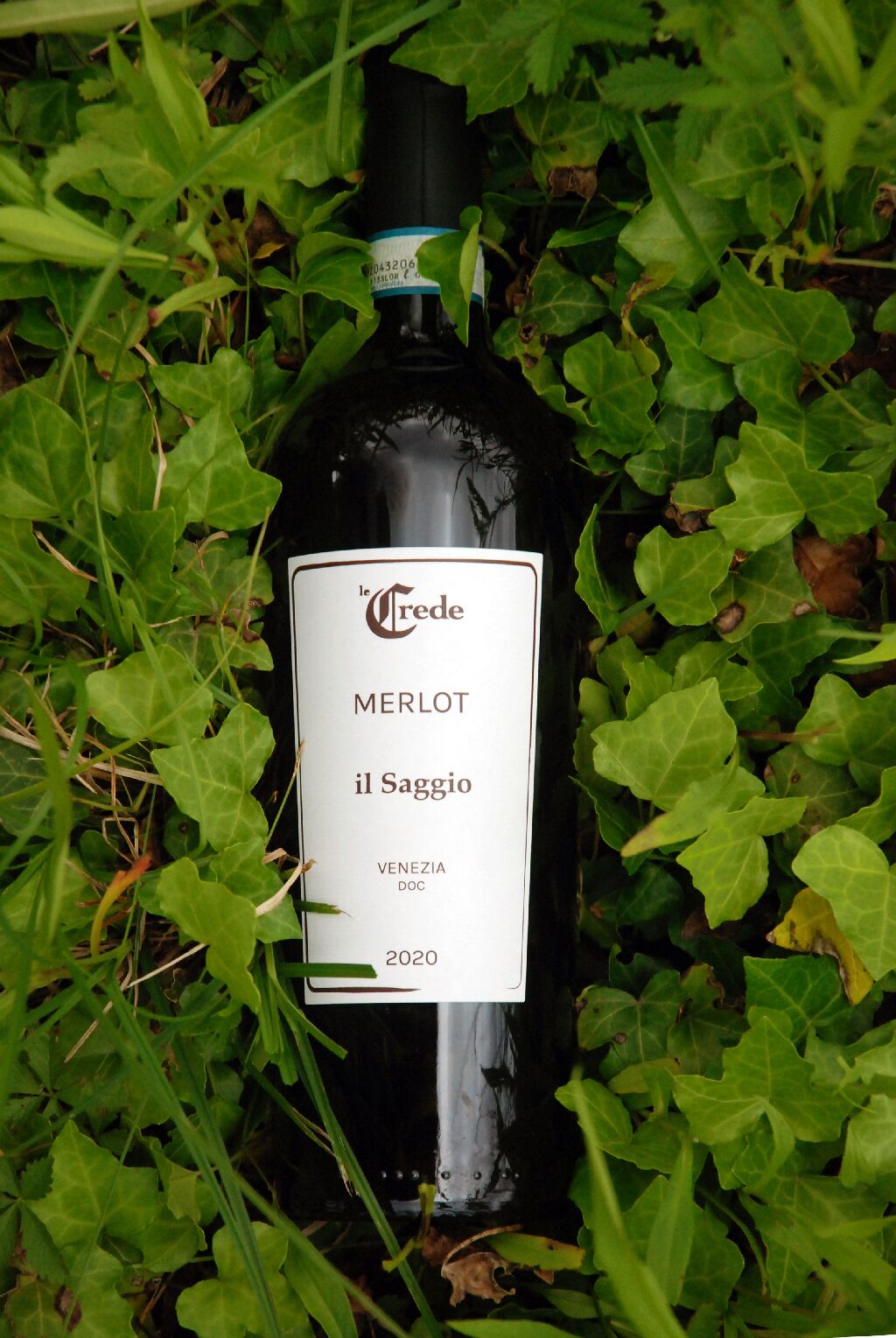 Una botella de vino Merlot etiquetada como 'il Saggio' del año 2020, rodeada de follaje verde.