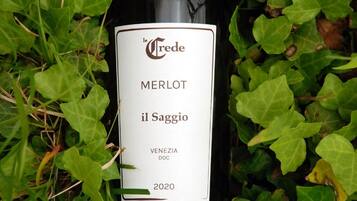 Una botella de vino Merlot etiquetada como 'il Saggio' del año 2020, rodeada de follaje verde.