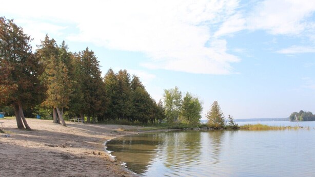 A lakeside park with trees, a sandy beach, and calm water.
