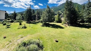 A grassy field with trees and a mountain in the background.