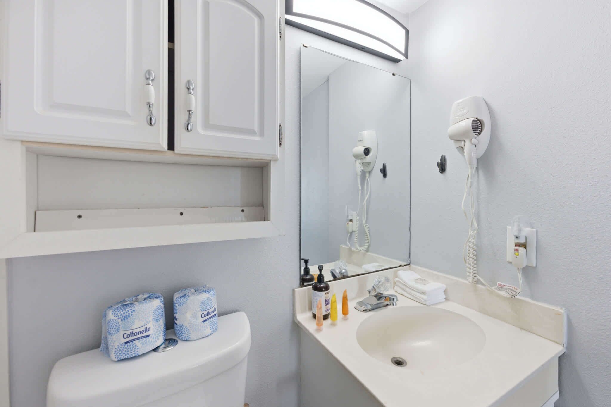 A bathroom with a toilet, a sink, a mirror, a hairdryer, and two rolls of toilet paper.