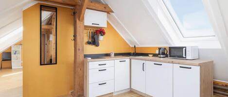 Fridge, microwave, stovetop, dishwasher