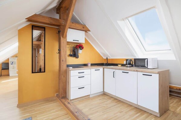 Fridge, microwave, stovetop, dishwasher