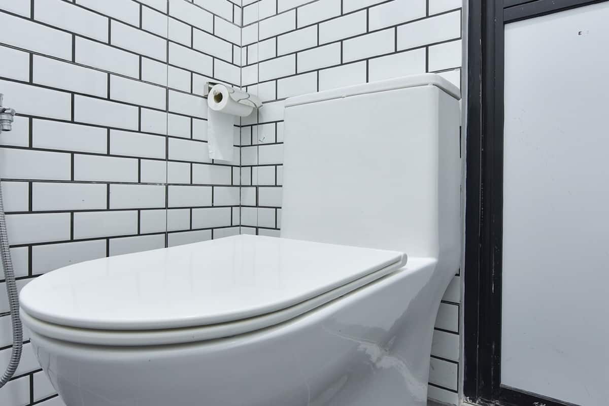 shower, bidet, soap, toilet paper