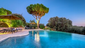 Une piscine avec un arbre au centre, entourée de chaises longues et de parasols.