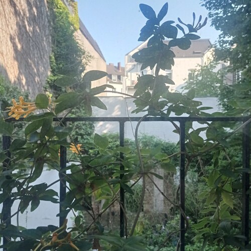 Geschmackvoll eingerichteter Loftim Zentrum DD / Wohnraum-ID 006-2-0019198-23