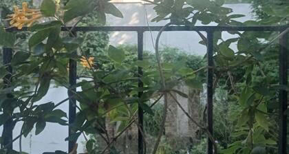 Geschmackvoll eingerichteter Loftim Zentrum DD / Wohnraum-ID 006-2-0019198-23