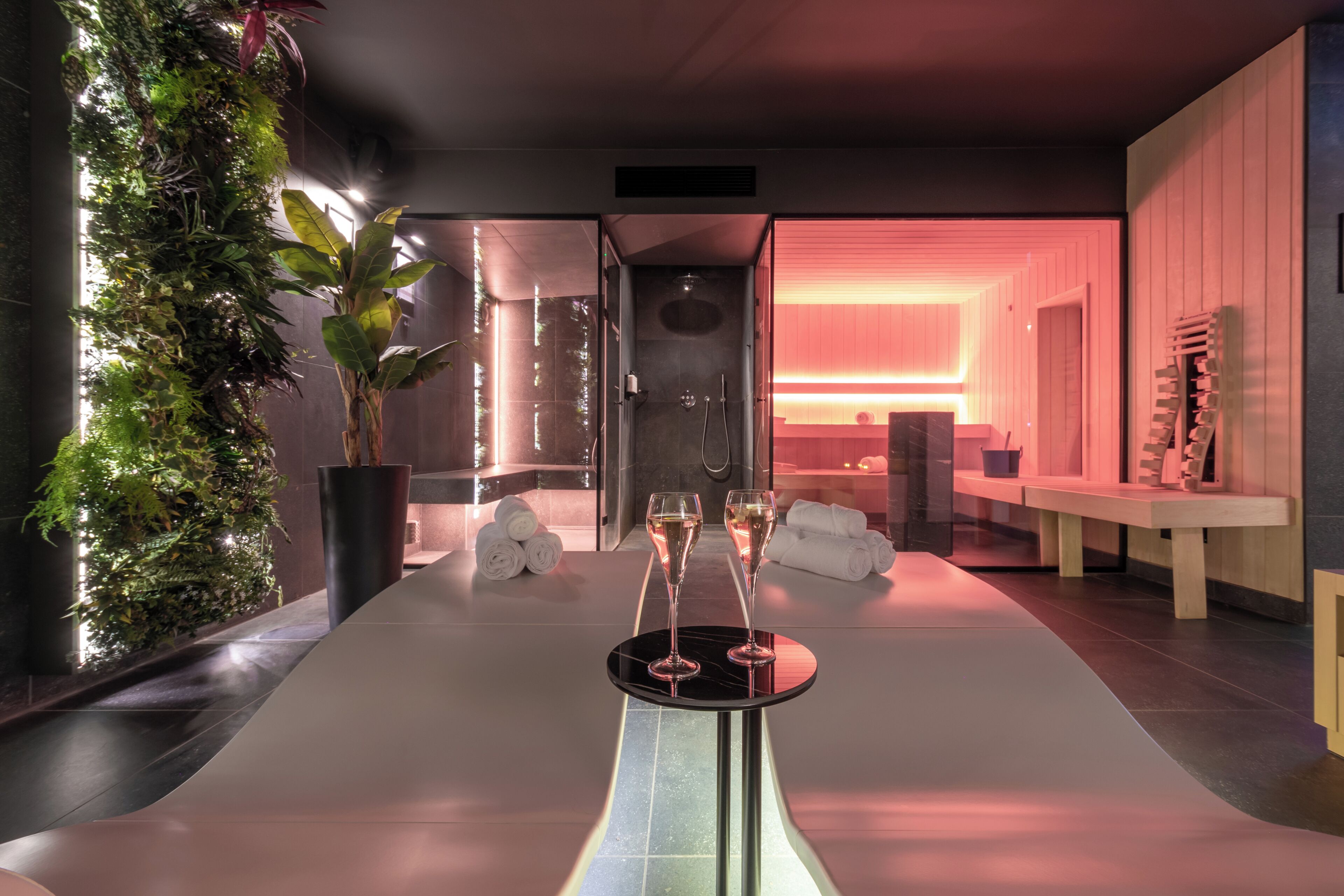 Sauna, steam room