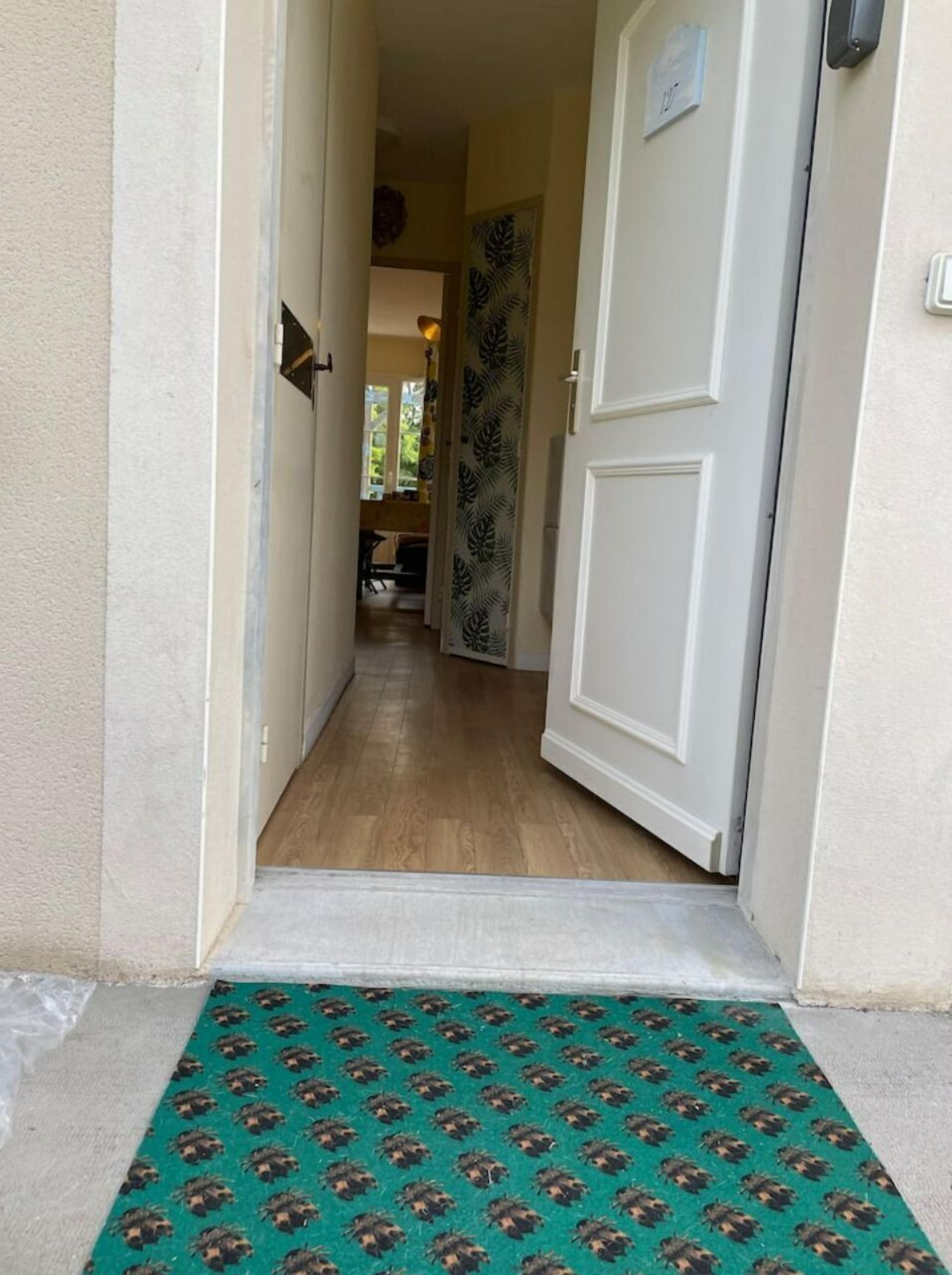 A hallway with a wooden floor leading to a room with a patterned door.