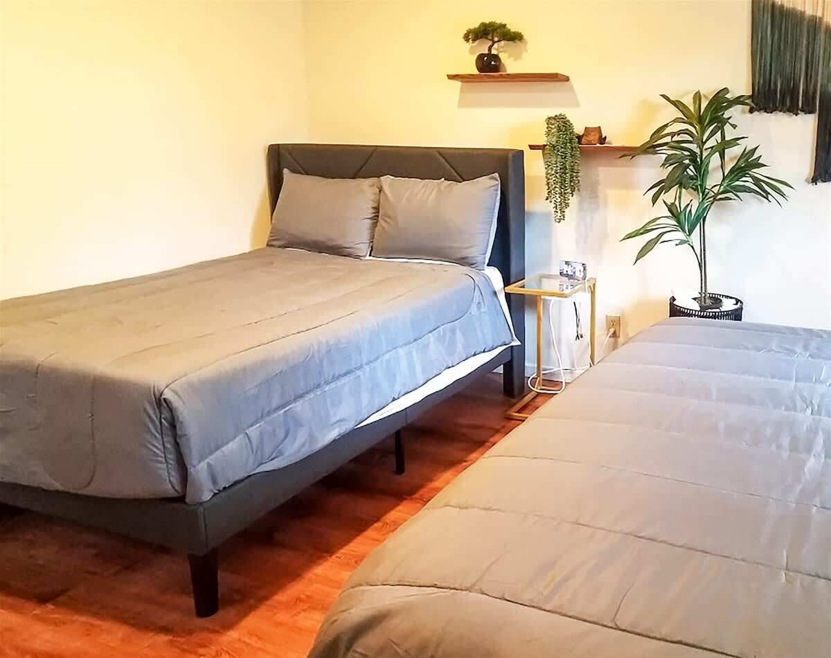 A bedroom with two beds, a bedside table, a lamp, and a potted plant.
