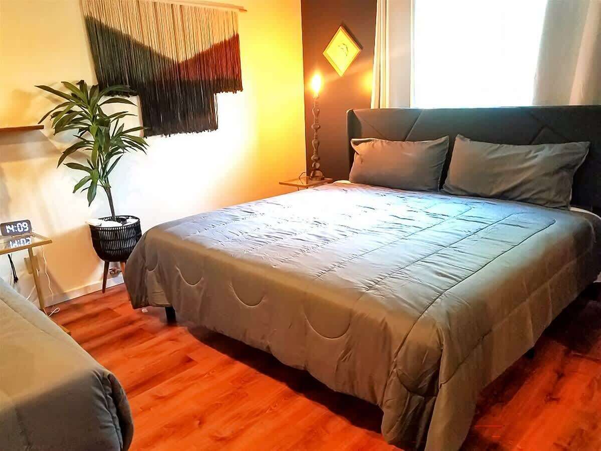 A hotel room with a bed, a bedside table, a lamp, a potted plant, and a wall clock.