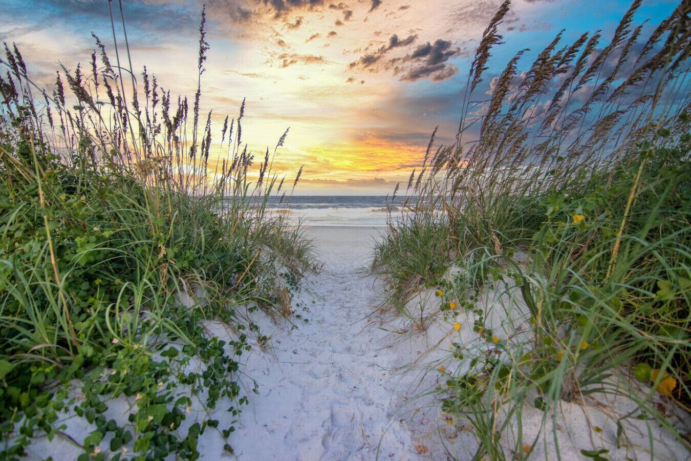 Playa en los alrededores 