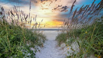 Playa en los alrededores