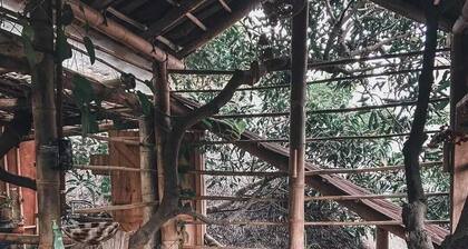 Tree and Mud House