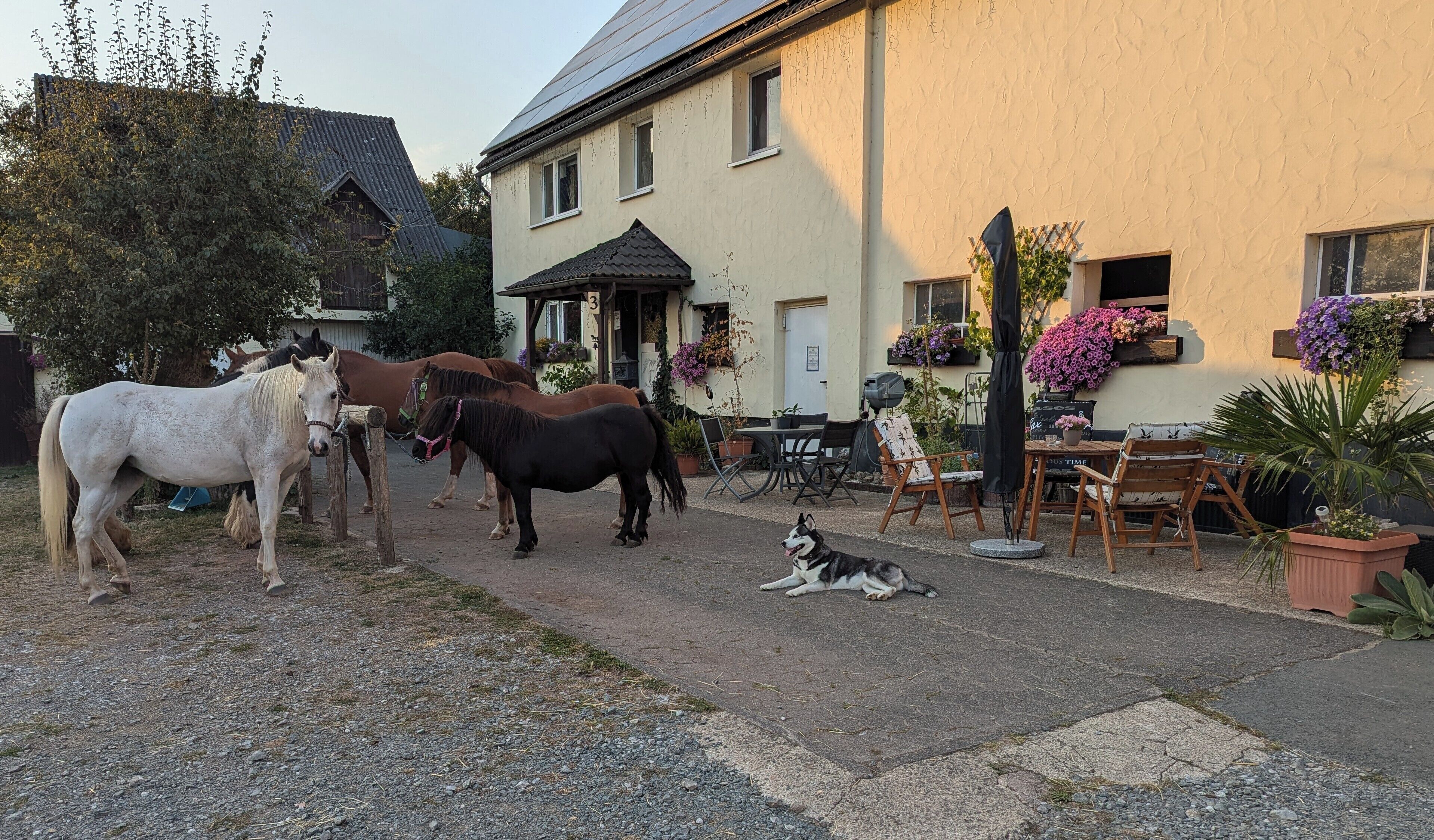 Speisen im Freien