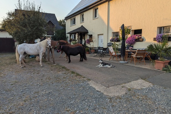 Speisen im Freien