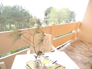Appartement, 1 slaapkamer, balkon | Terras
