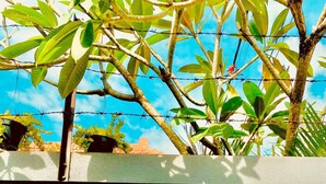 Un cartel de bienvenida con el texto 'Welcome to Villa Sunny Melitta Canggu' frente a una pared con una cerca de alambre de púas y abundante follaje al fondo.