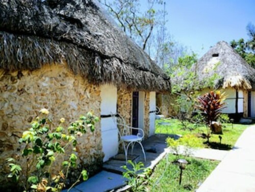 Toktli Mayan Village Origins