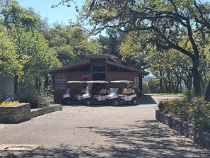 A building labeled 'PLACE' with a sign indicating it's open. There are three golf carts parked in front.