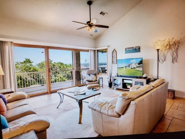 Smart TV, fireplace, books, music library