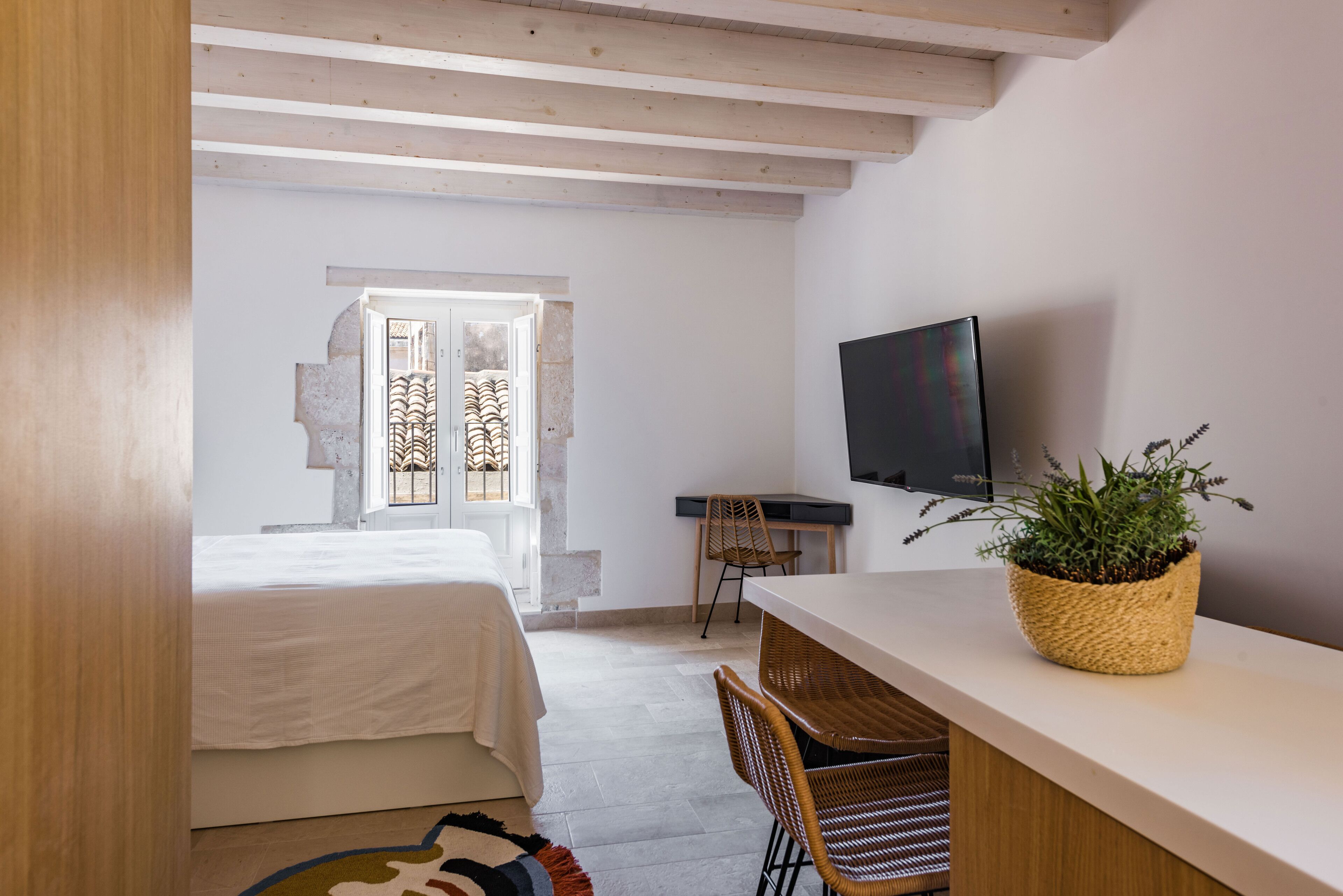Une pièce comprenant un lit, un bureau, une chaise, un téléviseur et une plante.
