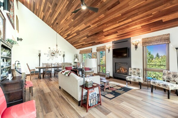 TV, fireplace