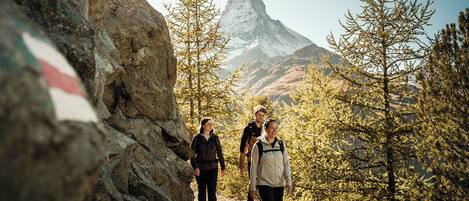Un grupo de personas caminando por un sendero rocoso, con una montaña al fondo.