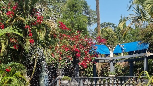 A tranquil pool area with a fountain, surrounded by lush greenery and a blue canopy structure. - The Gallery Boutique Hotel (Harare)