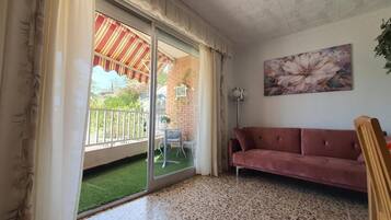 智能電視、書籍